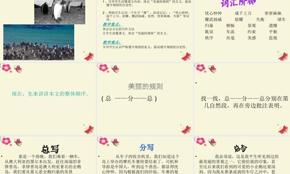 六年级语文下册 第2单元 9《美丽的规则》课件4 语文S版-语文S版小学六年级下册语文课件