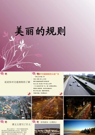 六年级语文下册 第2单元 9《美丽的规则》课件4 语文S版-语文S版小学六年级下册语文课件