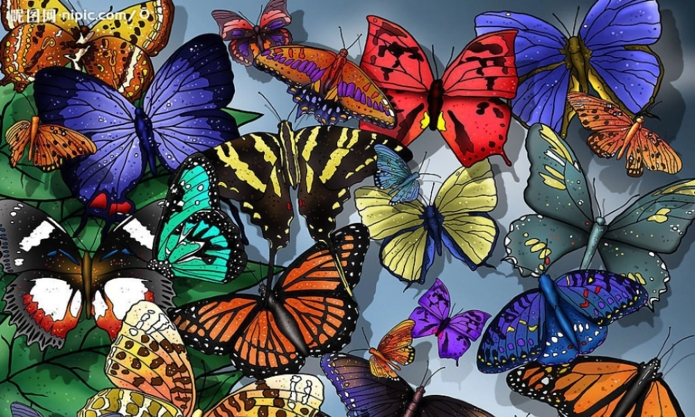 六年级语文下册 第6单元 15《永生的眼睛》课件1 语文A版-语文A版小学六年级下册语文课件