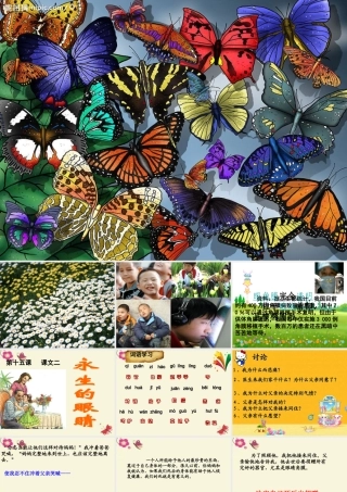 六年级语文下册 第6单元 15《永生的眼睛》课件1 语文A版-语文A版小学六年级下册语文课件