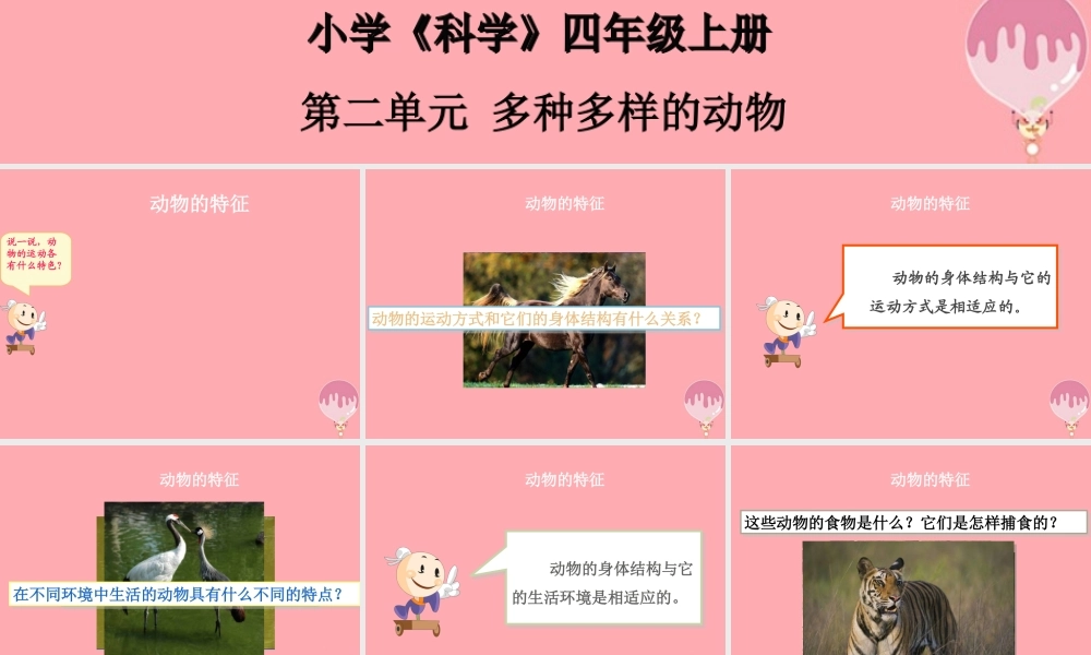 四年级科学上册 2.1 动物的特征课件1 湘教版-湘教版小学四年级上册自然科学课件