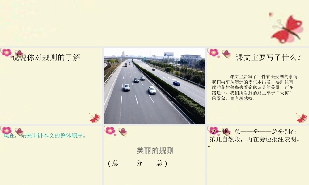 六年级语文下册 第2单元 9《美丽的规则》课件5 语文S版-语文S版小学六年级下册语文课件