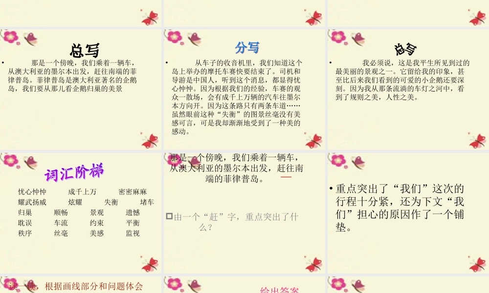 六年级语文下册 第2单元 9《美丽的规则》课件5 语文S版-语文S版小学六年级下册语文课件