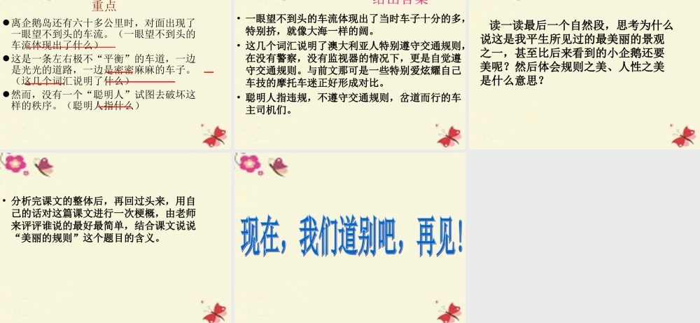 六年级语文下册 第2单元 9《美丽的规则》课件5 语文S版-语文S版小学六年级下册语文课件