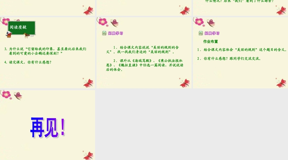 六年级语文下册 第2单元 9《美丽的规则》课件6 语文S版-语文S版小学六年级下册语文课件