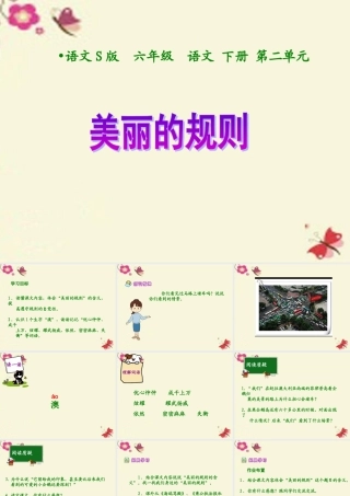 六年级语文下册 第2单元 9《美丽的规则》课件6 语文S版-语文S版小学六年级下册语文课件