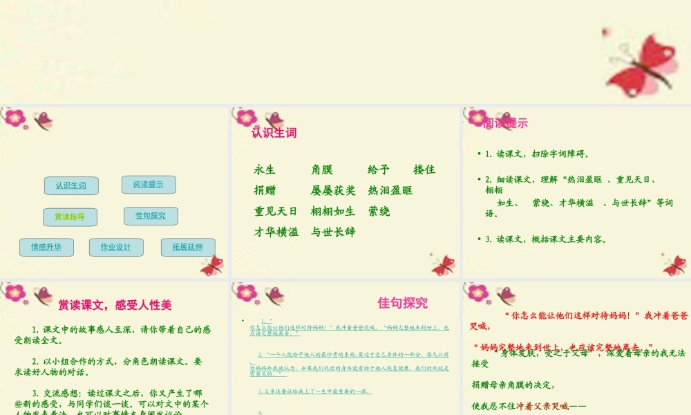 六年级语文下册 第6单元 15《永生的眼睛》课件3 语文A版-语文A版小学六年级下册语文课件
