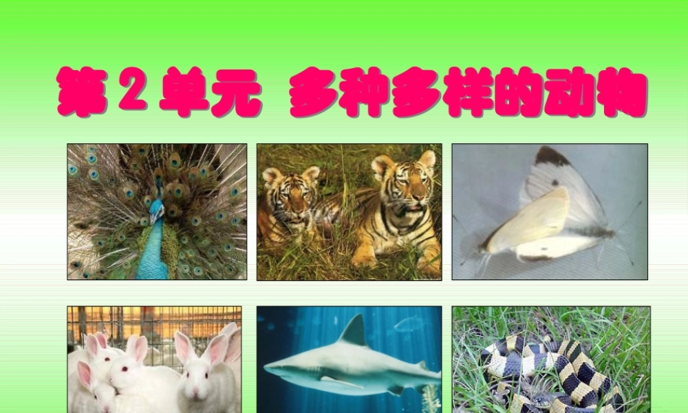 四年级科学上册 2.1 动物的特征课件3 湘教版-湘教版小学四年级上册自然科学课件