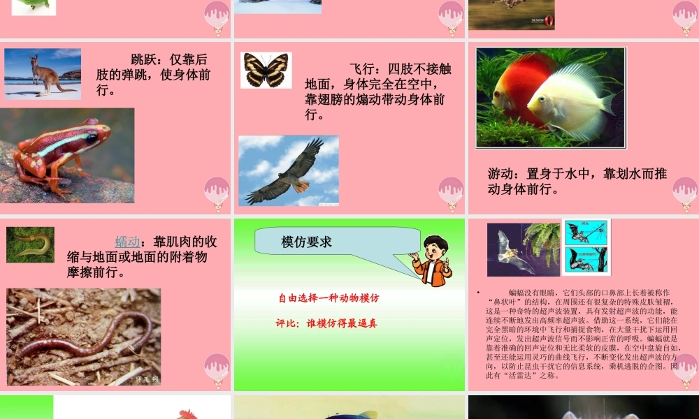 四年级科学上册 2.1 动物的特征课件3 湘教版-湘教版小学四年级上册自然科学课件