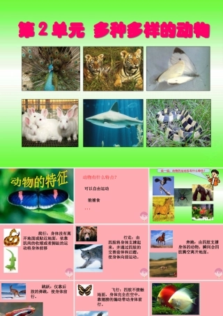四年级科学上册 2.1 动物的特征课件3 湘教版-湘教版小学四年级上册自然科学课件