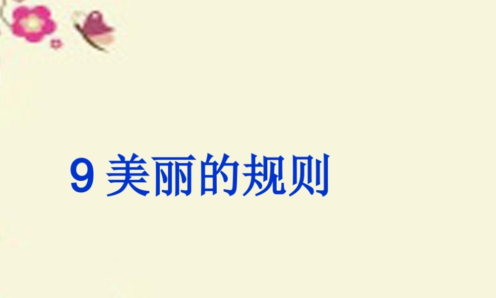 六年级语文下册 第2单元 9《美丽的规则》课件7 语文S版-语文S版小学六年级下册语文课件