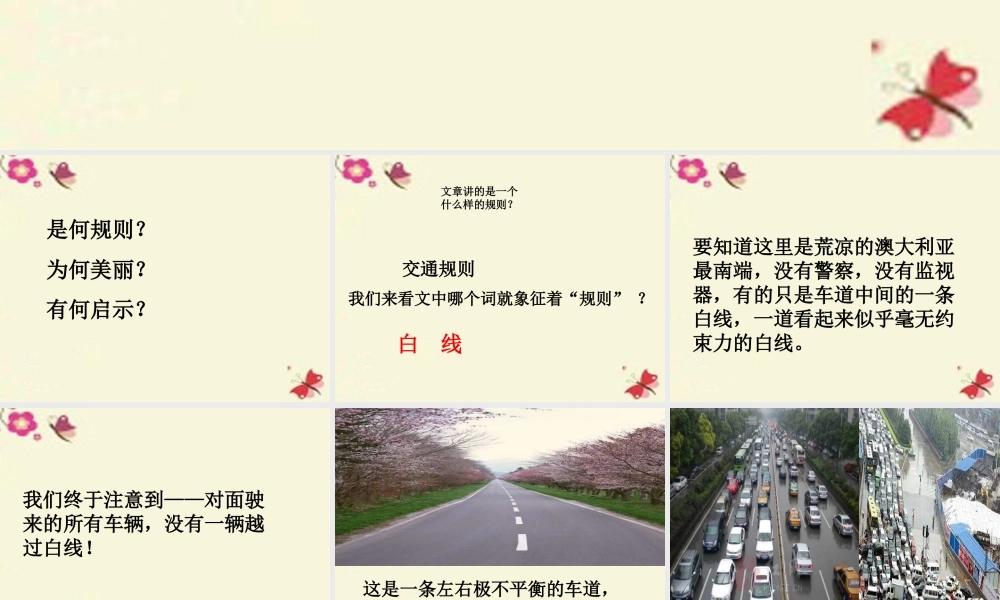 六年级语文下册 第2单元 9《美丽的规则》课件7 语文S版-语文S版小学六年级下册语文课件