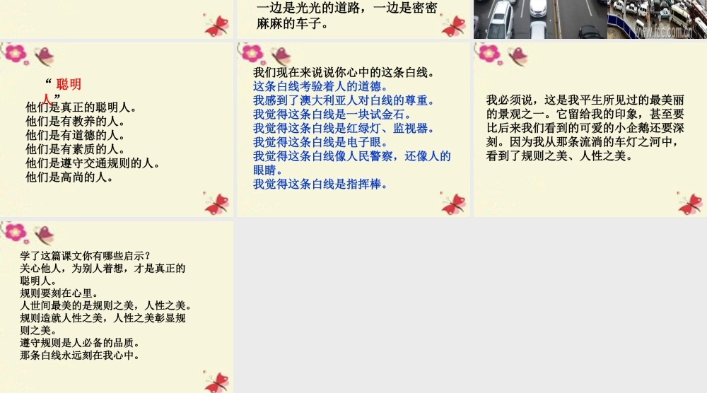 六年级语文下册 第2单元 9《美丽的规则》课件7 语文S版-语文S版小学六年级下册语文课件