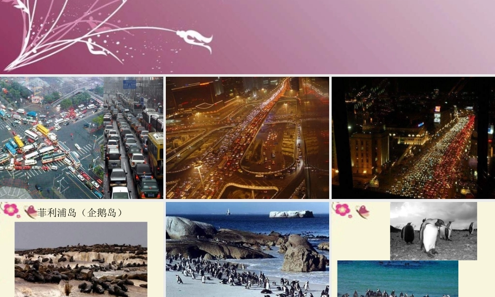 六年级语文下册 第2单元 9《美丽的规则》课件8 语文S版-语文S版小学六年级下册语文课件