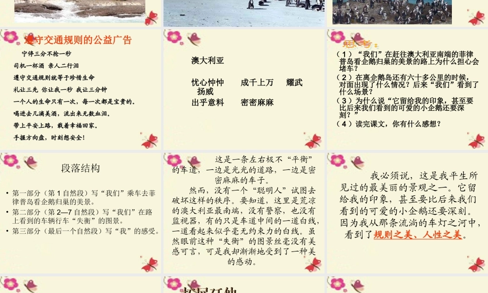 六年级语文下册 第2单元 9《美丽的规则》课件8 语文S版-语文S版小学六年级下册语文课件