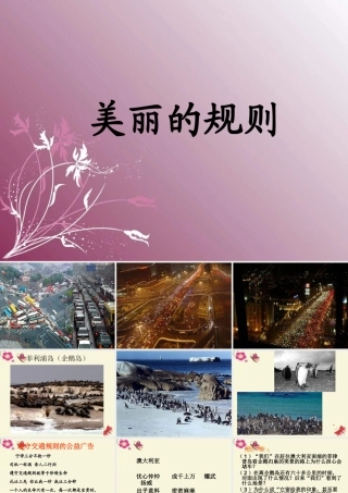 六年级语文下册 第2单元 9《美丽的规则》课件8 语文S版-语文S版小学六年级下册语文课件