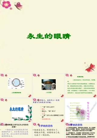六年级语文下册 第6单元 15《永生的眼睛》课件6 语文A版-语文A版小学六年级下册语文课件