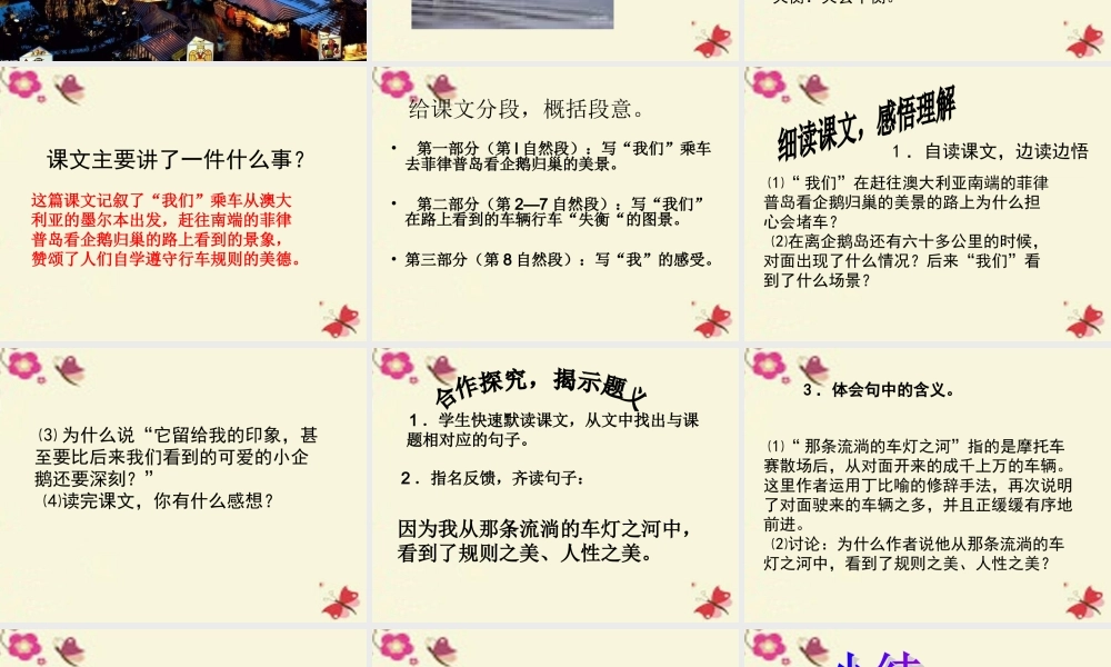 六年级语文下册 第2单元 9《美丽的规则》课件10 语文S版-语文S版小学六年级下册语文课件