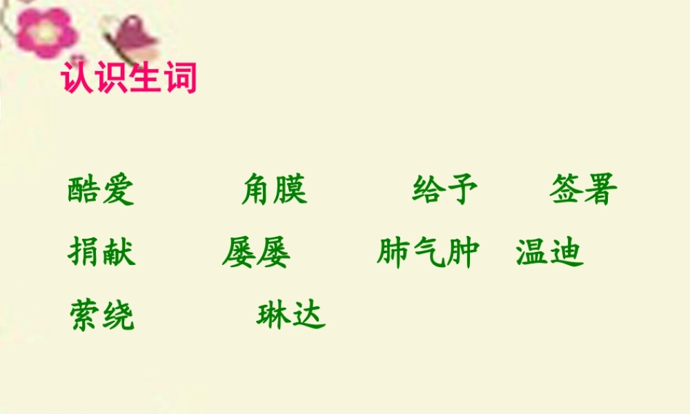 六年级语文下册 第6单元 15《永生的眼睛》课件7 语文A版-语文A版小学六年级下册语文课件