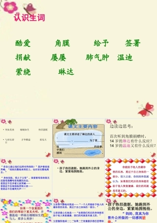 六年级语文下册 第6单元 15《永生的眼睛》课件7 语文A版-语文A版小学六年级下册语文课件