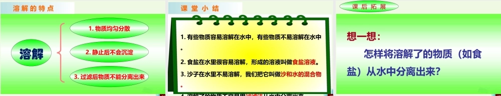 四年级科学上册 2.1 水能溶解一些物质课件4 教科版-教科版小学四年级上册自然科学课件