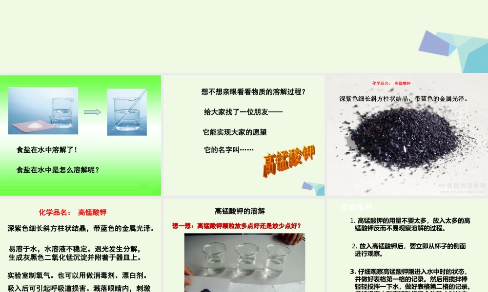 四年级科学上册 2.2 水是怎样溶解物质的课件1 教科版-教科版小学四年级上册自然科学课件