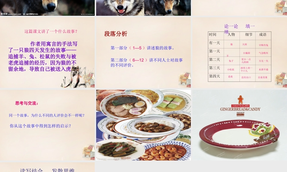 六年级语文下册《不留余地的狼》课件4 长春版-长春版小学六年级下册语文课件