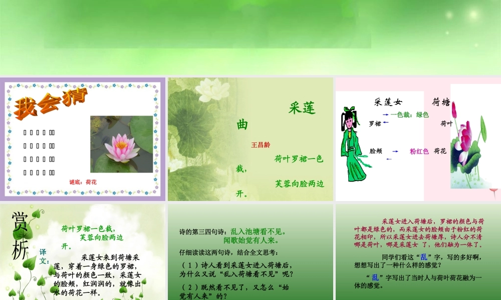 六年级语文下册《采莲曲》教学课件 教科版-教科版小学六年级下册语文课件