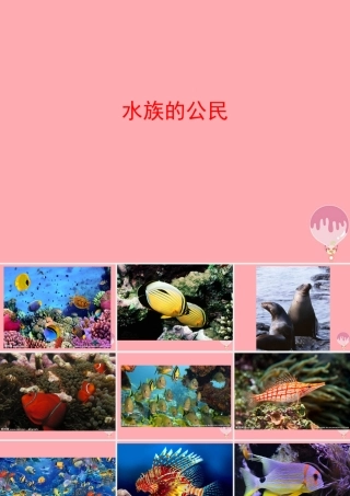 四年级科学上册 2.2 水族的公民课件1 湘教版-湘教版小学四年级上册自然科学课件