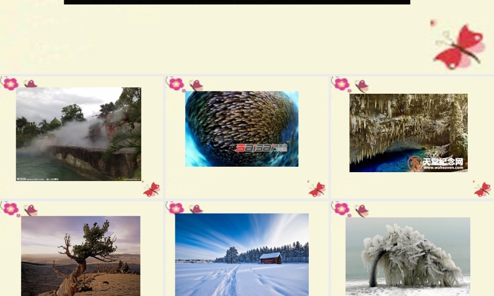 六年级语文下册 第3单元 6《这个奇妙的世界》课件2 语文A版-语文A版小学六年级下册语文课件