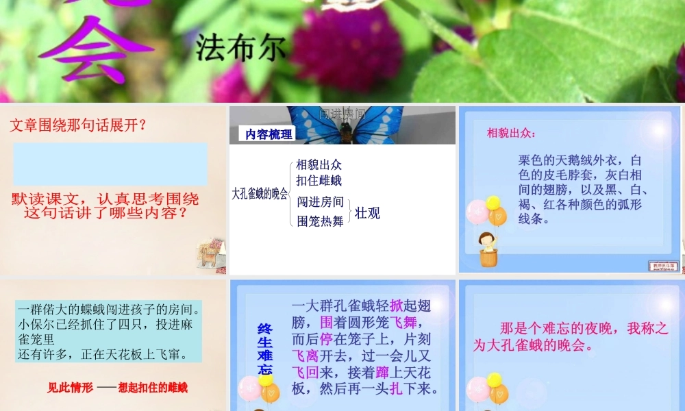 六年级语文下册《大孔雀蛾的晚会》课件1 长春版-长春版小学六年级下册语文课件