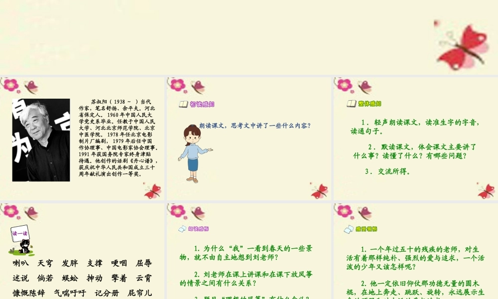 六年级语文下册 第6单元 26《理想的风筝》课件1 语文S版-语文S版小学六年级下册语文课件