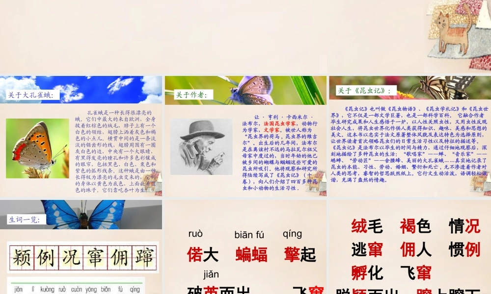 六年级语文下册《大孔雀蛾的晚会》课件2 长春版-长春版小学六年级下册语文课件