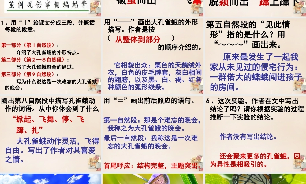 六年级语文下册《大孔雀蛾的晚会》课件2 长春版-长春版小学六年级下册语文课件