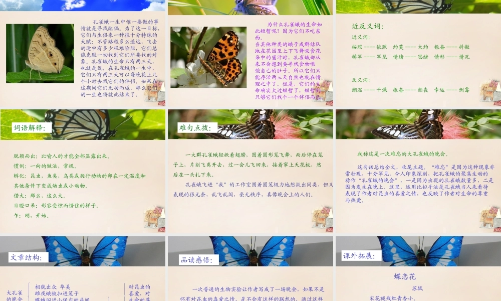 六年级语文下册《大孔雀蛾的晚会》课件2 长春版-长春版小学六年级下册语文课件