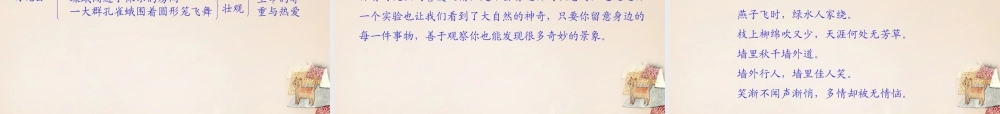 六年级语文下册《大孔雀蛾的晚会》课件2 长春版-长春版小学六年级下册语文课件