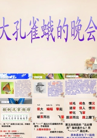 六年级语文下册《大孔雀蛾的晚会》课件2 长春版-长春版小学六年级下册语文课件