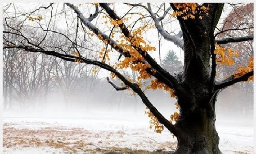 六年级语文下册 第3单元 6《这个奇妙的世界》课件4 语文A版-语文A版小学六年级下册语文课件