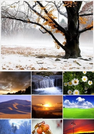 六年级语文下册 第3单元 6《这个奇妙的世界》课件4 语文A版-语文A版小学六年级下册语文课件