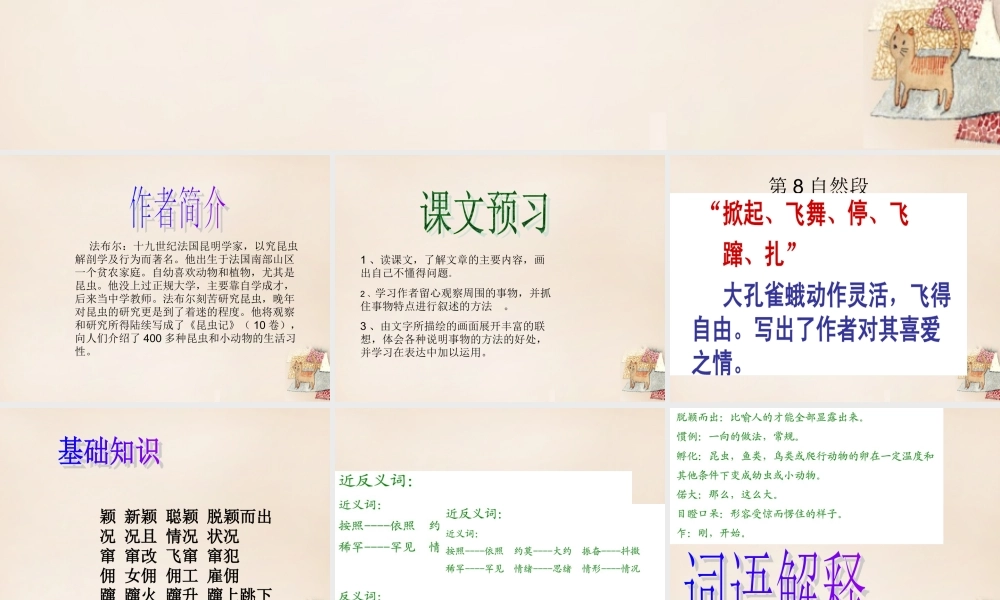 六年级语文下册《大孔雀蛾的晚会》课件3 长春版-长春版小学六年级下册语文课件