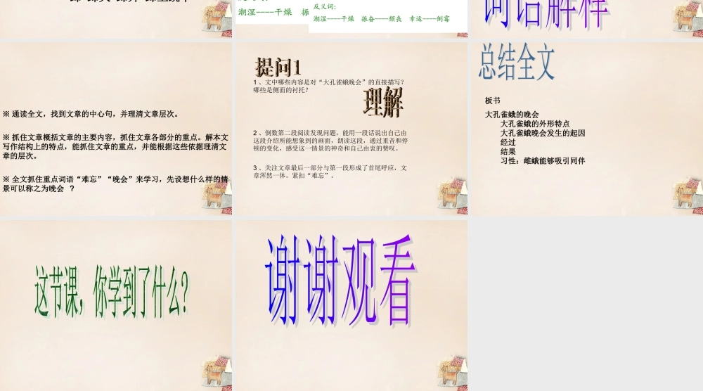 六年级语文下册《大孔雀蛾的晚会》课件3 长春版-长春版小学六年级下册语文课件