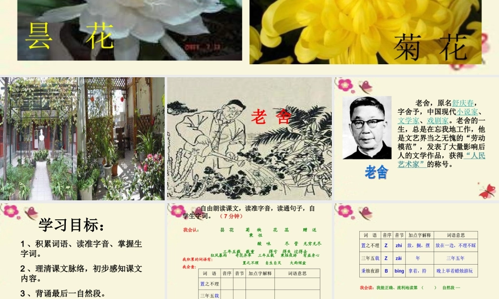 六年级语文下册 第3单元 7《养花》课件1 语文A版-语文A版小学六年级下册语文课件