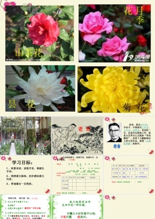 六年级语文下册 第3单元 7《养花》课件1 语文A版-语文A版小学六年级下册语文课件