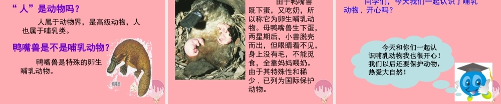 四年级科学上册 2.3 吃奶长大的动物课件1 湘教版-湘教版小学四年级上册自然科学课件