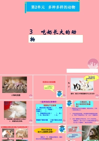 四年级科学上册 2.3 吃奶长大的动物课件1 湘教版-湘教版小学四年级上册自然科学课件