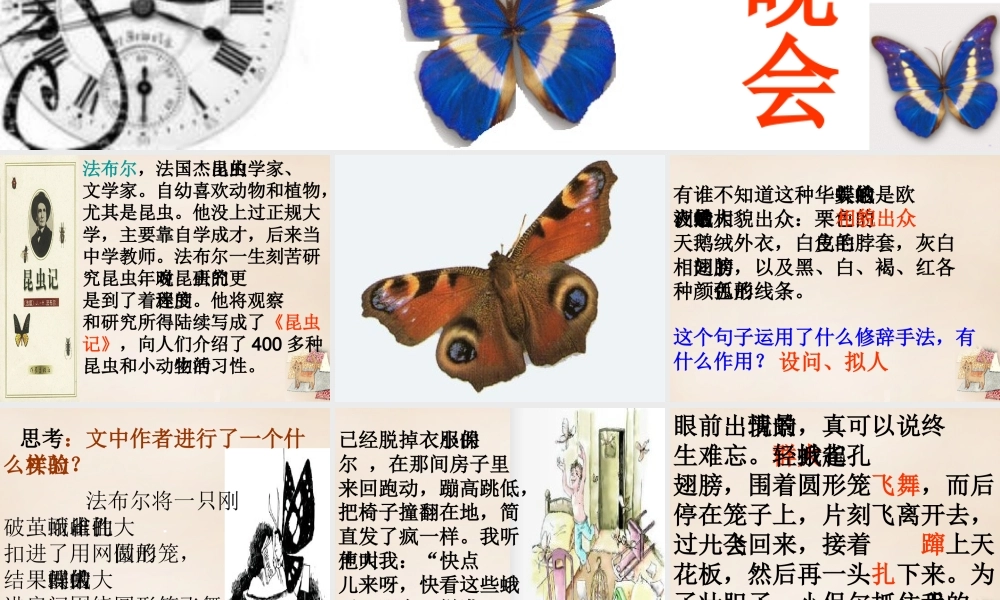 六年级语文下册《大孔雀蛾的晚会》课件4 长春版-长春版小学六年级下册语文课件