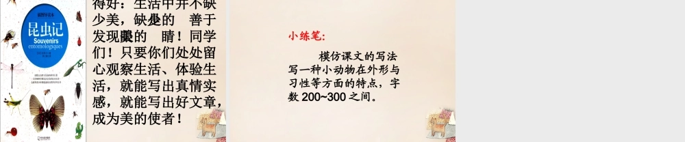 六年级语文下册《大孔雀蛾的晚会》课件4 长春版-长春版小学六年级下册语文课件