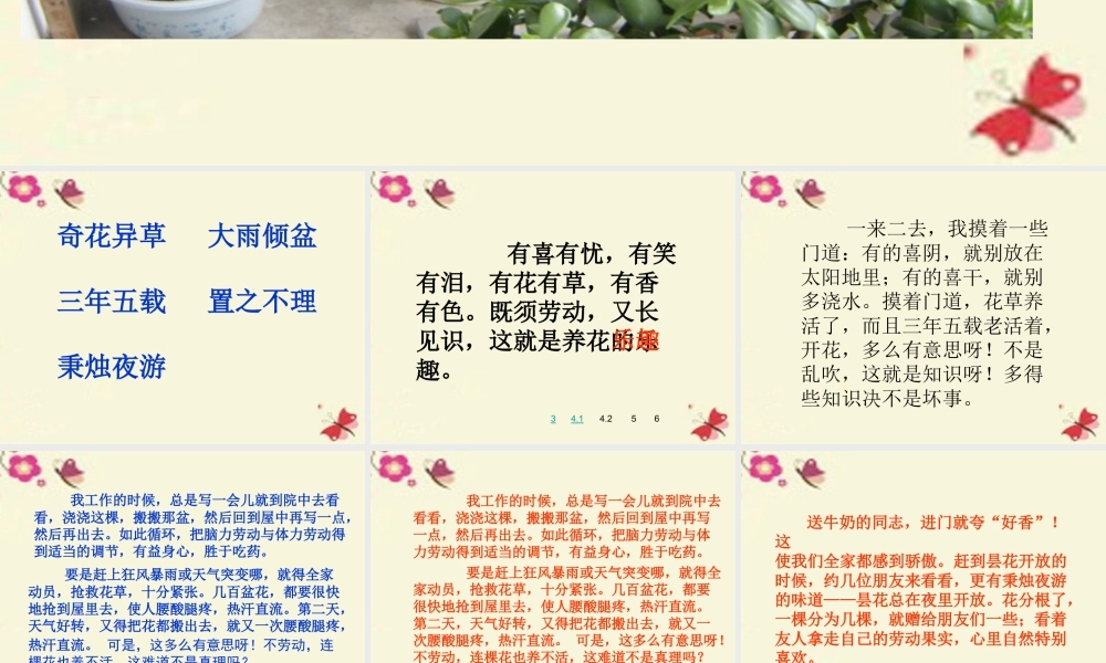 六年级语文下册 第3单元 7《养花》课件2 语文A版-语文A版小学六年级下册语文课件