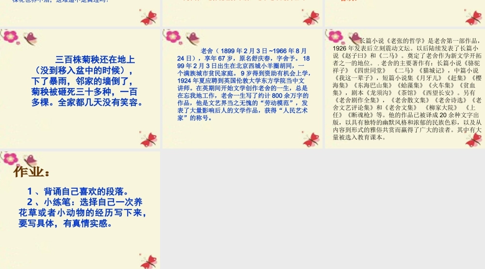 六年级语文下册 第3单元 7《养花》课件2 语文A版-语文A版小学六年级下册语文课件