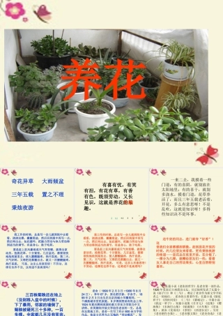 六年级语文下册 第3单元 7《养花》课件2 语文A版-语文A版小学六年级下册语文课件